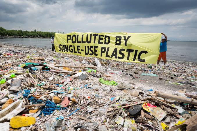 plastik hakkında gerçekler
