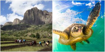 İklim Krizine Yaptığı Vurguyla Beğeni Toplayan Belgesel “Earth’s Tropical Islands” [Özel Röportaj]