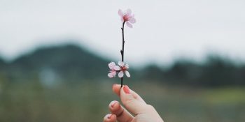 Merkür Retrosu Etkisinde 17 – 23 Şubat Haftalık Burç Yorumları