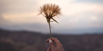 Aslan Burcunda Dolunay Etkileriyle 3 – 9 Şubat Haftalık Burç Yorumları