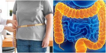 Bel Kalınlığının Bağırsak Florasıyla İlgili Olduğunu Gösteren Araştırma