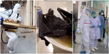 Corona Virüsü Hakkında Hızla Yayılıp Korku Salan Ürkütücü Teoriler