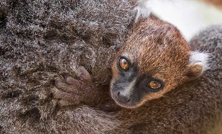 Earth's Tropical Islands islands dünyanın tropik adaları belgeseli konusu