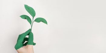 Tüketime Karşı Türetim Ekonomisi Hakkında Bilmeniz Gereken Her Şey