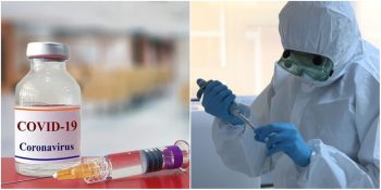 Corona Virüsü Aşısı Geliştirildi: Tarihteki İlk Vegan Aşı Olabilir