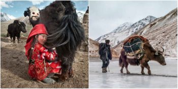 Salgın Hastalıklardan Savaşlara: Dünyadaki Gelişmelerden Habersiz Olan Wakhan Koridoru ve Yerlileri