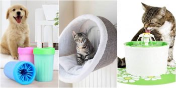 Evcil Hayvan Sahiplerinin Mutlaka Göz Atması Gereken Köpek ve Kedi Ürünleri