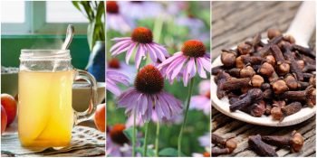 Kendinizi Daha İyi Hissetmenizi Sağlayacak 8 Doğal Antibiyotik