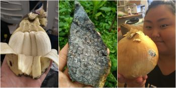 Doğanın Büyüleyici Yönlerini Gözler Önüne Seren 20 Sıra dışı Fotoğraf