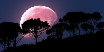 Süper Pembe Ay: 8 Nisan Terazi Burcunda Dolunay ve Burçlara Etkileri