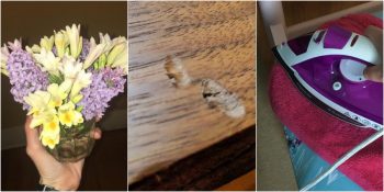 Ütünün Kimsenin Aklına Gelmeyecek 8 Alternatif Kullanım Alanı