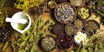 Stresinizi Dengeleyin: Adaptojen Bitkiler Nelerdir? Ne İçin Kullanılır?