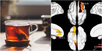 Düzenli Olarak Çay İçmenin Beyin Sağlığını Etkilediğini Gösteren Araştırma