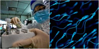 Sperm Üzerinde Tespit Edildi: Corona Virüsü Cinsel Yolla Bulaşabilir mi?