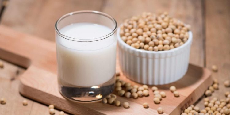 Soya sütü ile ilgili bilgiler