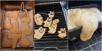 Mutfakta Pek de Becerikli Olmadığını Kanıtlayan 18 Kişi