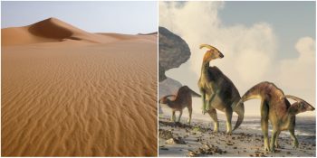 Dev Su Canlılarından Dinozorlara: 100 Milyon Yıl Önce Dünyanın En Tehlikeli Yeri Olan Sahra Çölü