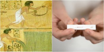 Antik Mısır’dan Eczane Raflarına: İlk Hamilelik Testi Nasıl Ortaya Çıktı?