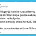 İhaleyle Katliam: Bakanlık 18 Geyiğin Vurulması İçin İhale Düzenliyor