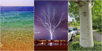 Yıldırımlardan Rengarenk Denizlere: Doğa Ananın Hepimizi Şaşkınlığa Uğrattığı 14 An