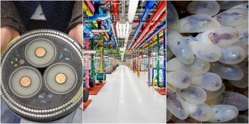 Hayata Bambaşka Bir Açıdan Bakmanızı Sağlayacak 18 Sıra Dışı Fotoğraf