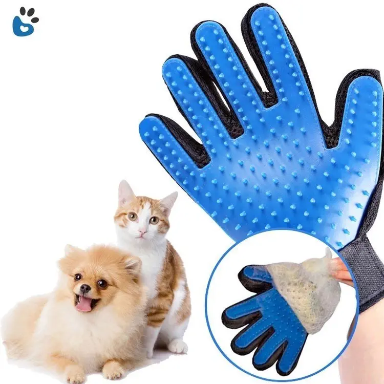 en uygun kedi malzemeleri