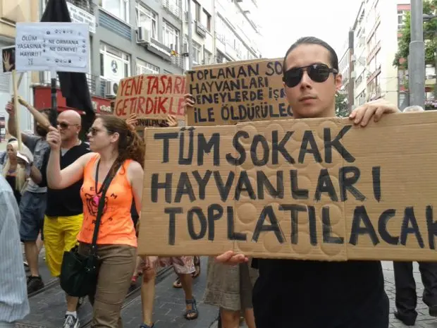 hayvan hakları yasası