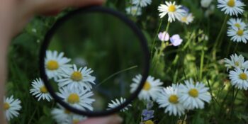 Karmaşa ve Gizem: 10-16 Ağustos Haftalık Burç Yorumları