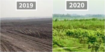 Bir Yılda Mucizevi Dönüşüm: Hükümetin Desteği Sayesinde Pakistan’ı Cennetten Bir Köşeye Çeviren Ağaçlandırma Projesi