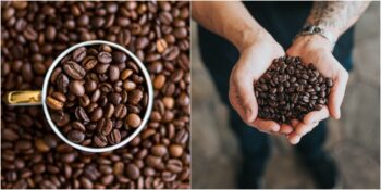 Damak Tadına En Uygun Kahveyi Bulmak İsteyenlere: Kahve Çekirdeği Çeşitleri Hakkında Her Şey