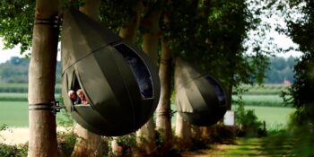 Görkemli Bir Ağacın Dallarında Uyumak İster Misiniz? Borgloon Ormanı’ndaki Etkileyici Sanat Projesi