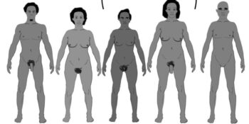 Kadın ve Erkeğin Yanına Eklenen Üç Cinsiyet: Merm, Ferm ve Herm Nedir?