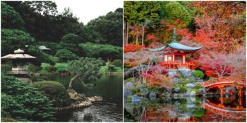 Hem Yaratıcı Hem Asil: Japon Bahçeleri Hakkında Bilmeniz Gereken Muhteşem Detaylar