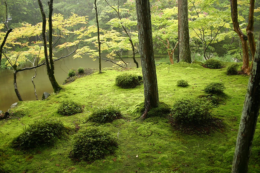 japon bahçeleri