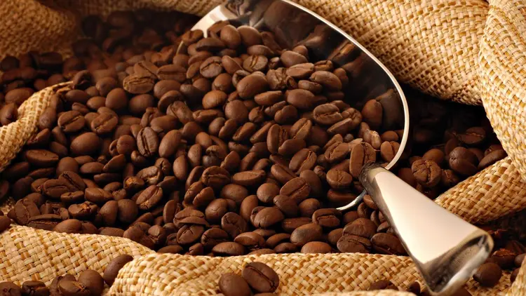 kahve çekirdeği çeşitleri