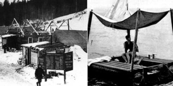 Hayatta kalmayı başaranlar