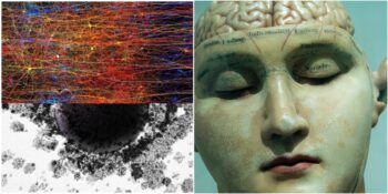 İnsan Beyni 11 Boyutlu Yapılar Oluşturabiliyor: Bilim İnsanları Blue Brain Project ile Yeni Verilere Ulaştı