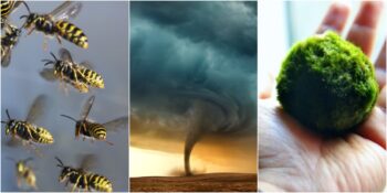 Acil Durumlarda Size “Can Yeleği” Olabilecek 7 Öneri