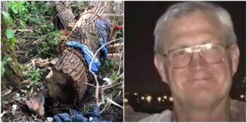 Kestiği Ağacın Altında Kalıp Sıkışarak 100 Saat Hayat Mücadelesi Veren Jonathan Ceplecha