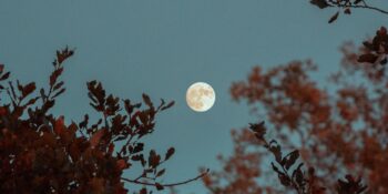 Retrolar İçinde Bir Dolunay: 1 Ekim Koç Burcunda Dolunay ve Burçlara Etkileri