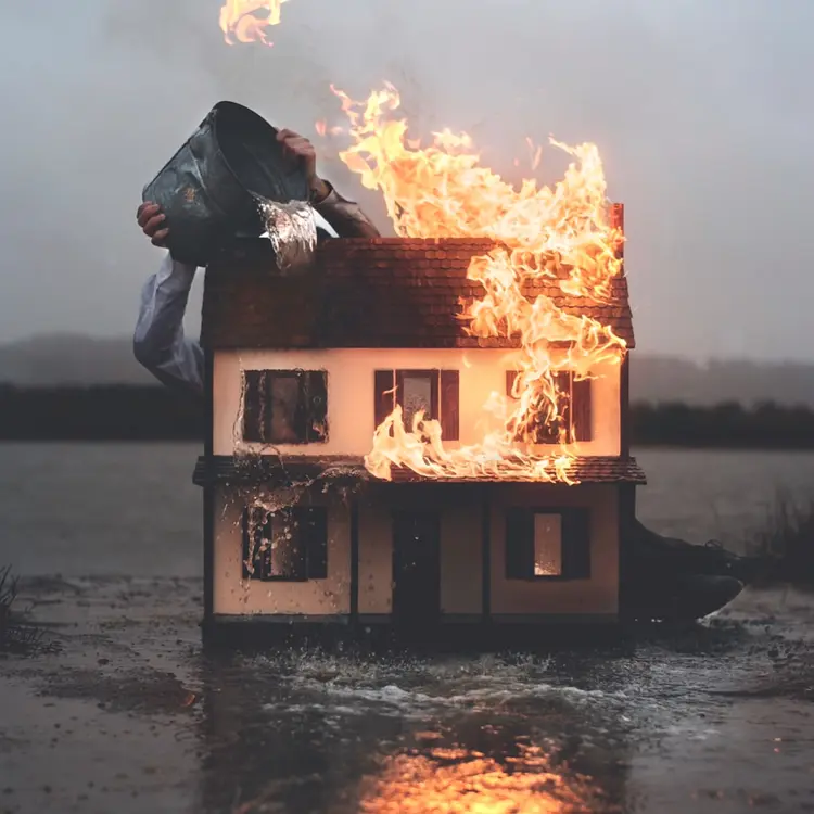 nicolas bruno