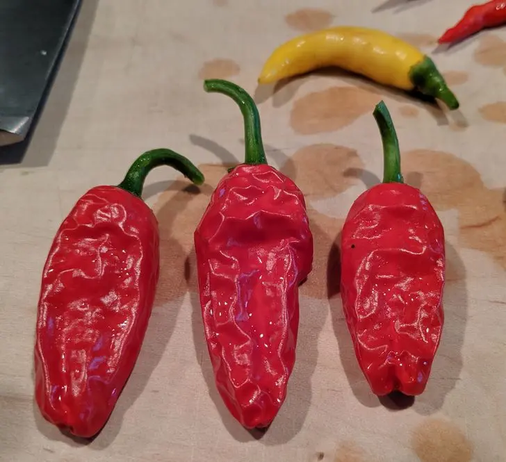 mikrodalgada