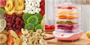 Sağlıklı Atıştırmalıklar Hazırlamak İsteyenlere En Popüler 6 Meyve Kurutma Makinesi