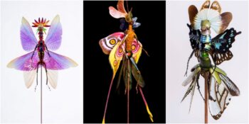 Ölü Böcekleri Birer Periye Dönüştüren Sanatçıdan 18 Etkileyici Çalışma