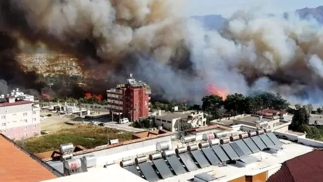 hatay yangın