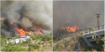 Hatay’ın Ormanları Yanıyor: İskenderun’da Üst Üste İki Kez Yangın Çıktı