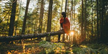 Modern Dünyanın Baskılarına Karşı Güçlü Bir Panzehir: Orman Banyosu Nedir? Faydaları Nelerdir?