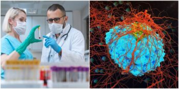 Tehlike Bitmedi: Uzmanlar Yeni Bir Salgına Neden Olabilecek SADS-CoV Virüsü Hakkında Uyardı