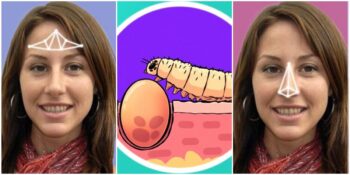 Gece Boyunca Milyonlarca Böceğin Yüzünüzde Parti Verdiğini Biliyor Muydunuz?