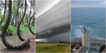 Bu İşaretlere Dikkat! Önemli Bir Doğa Olayının Habercisi Olabilecek 11 İşaret